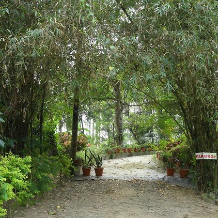 Coffee Island Resort Kaniyāmbetta Exterior foto