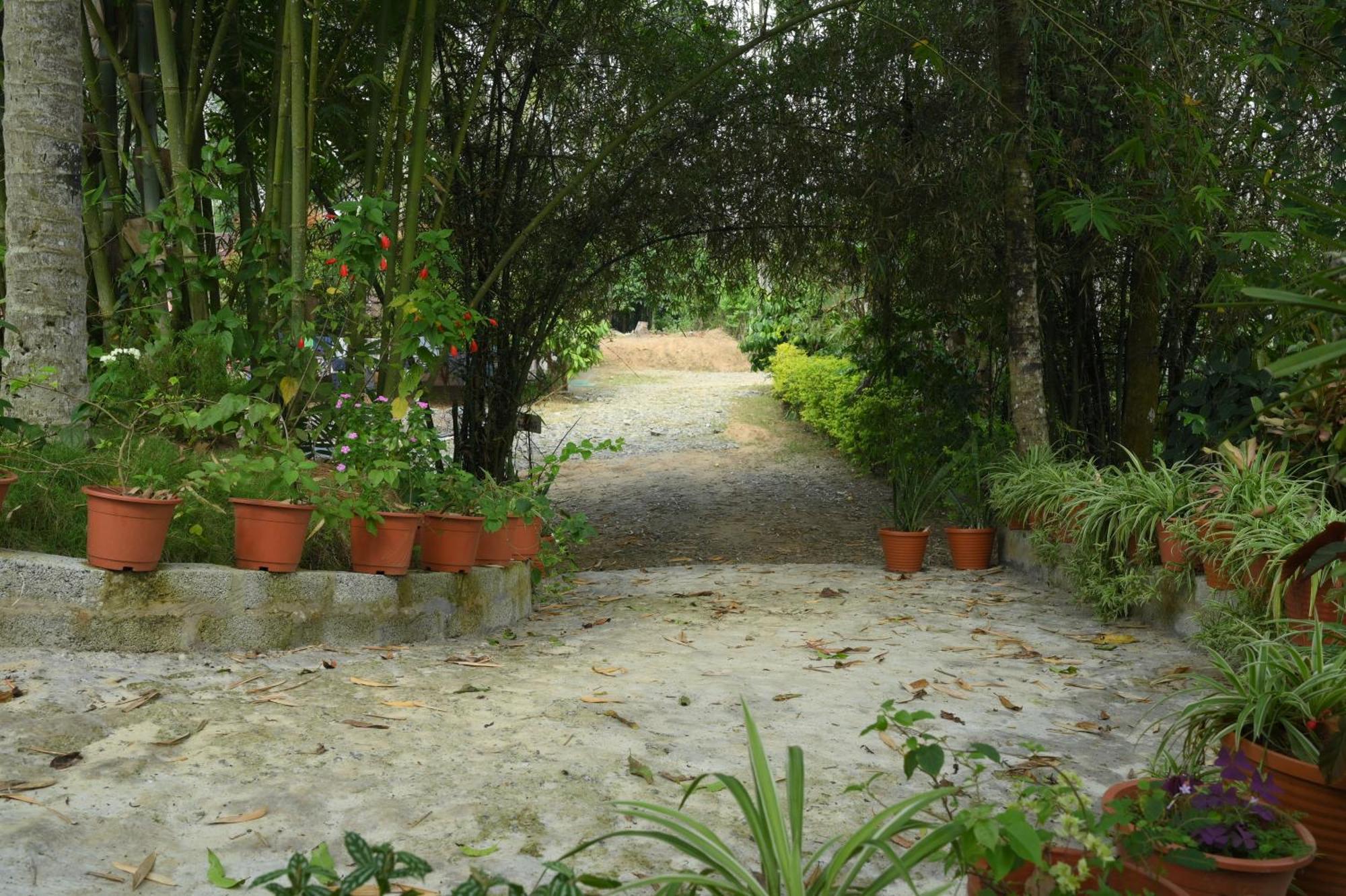 Coffee Island Resort Kaniyāmbetta Exterior foto